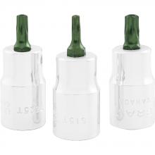 Gray Tools 78115T - 1" Torx Insert Bit T15, Tamper Resistant