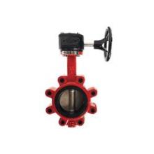 Buchanan 9660G2.5 - VALVE BTFL 2-1/2IN DUCTILE IRON BUNA-N