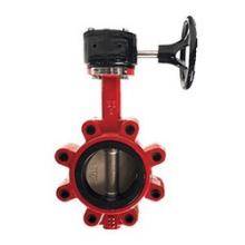 Buchanan 9660G6SE - VALVE BTFL 6IN DUCTILE IRON EPDM SST
