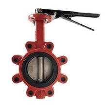 Buchanan 9660L12SE - VALVE BTFL 12IN DUCTILE IRON EPDM SST