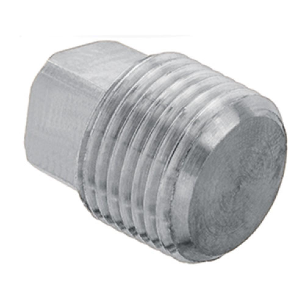 1" Square Head Pipe Plug 316 Stainless Steel sched 40 (150#)