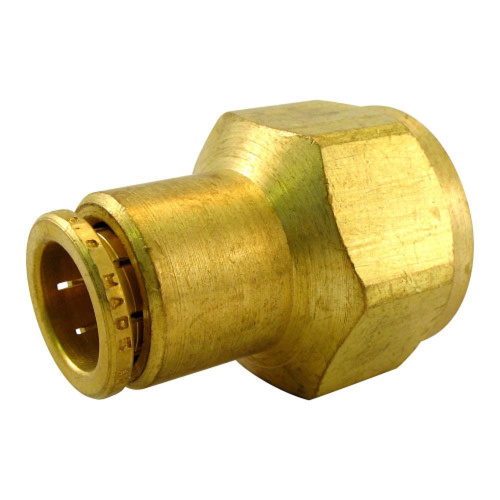 1/4"x1/4" PTC Female Connector Brass