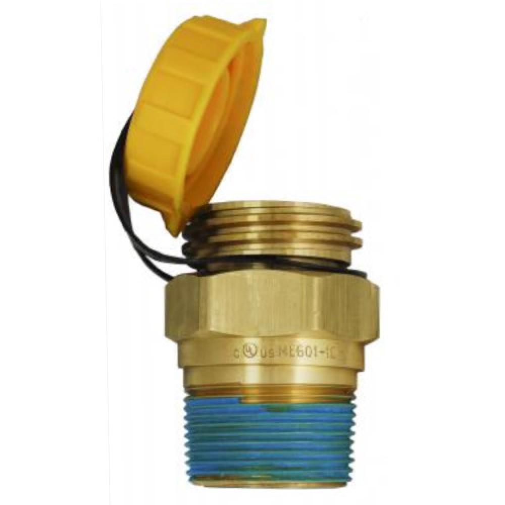 1-1/4" MNPT Double Back Checker Valve