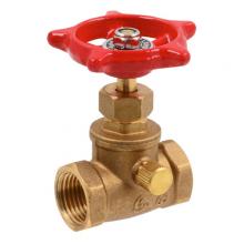 Paulin D216B-D - 1/2" Globe Valve w/Bleeder Brass