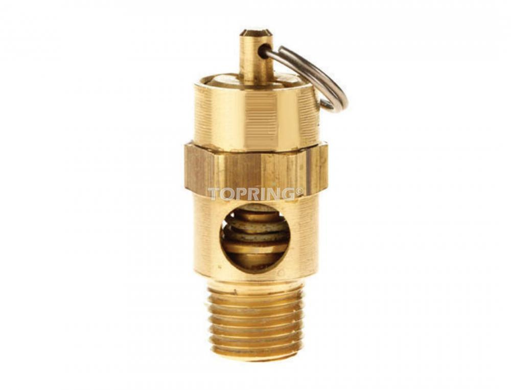 Brass Pressure Relief Valve 1/4 (M) NPT 55 PSI