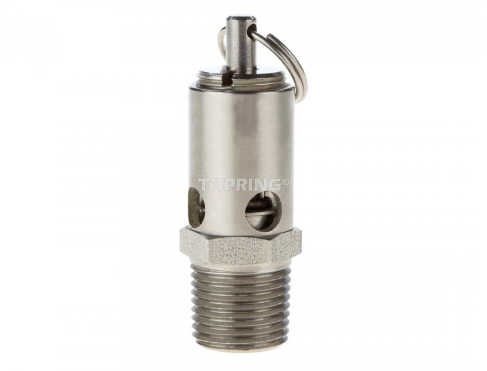 Stainless Steel Pressure Relief Valve 1/2 (M) NPT 200 PSI