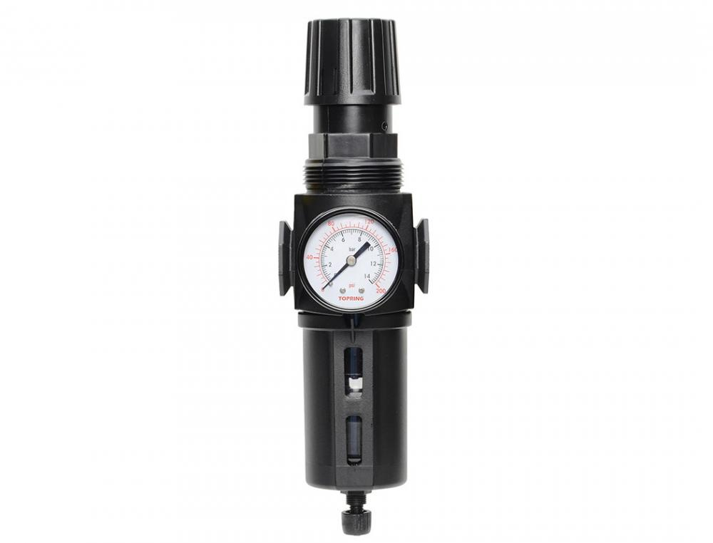 5 Micron Filter Regulator 0 to 125 PSI 1/4 (F) NPT S50