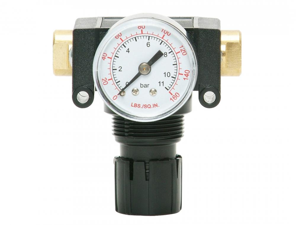 Acetal Regulator 0 to 125 PSI 1/4 (F) NPT S50