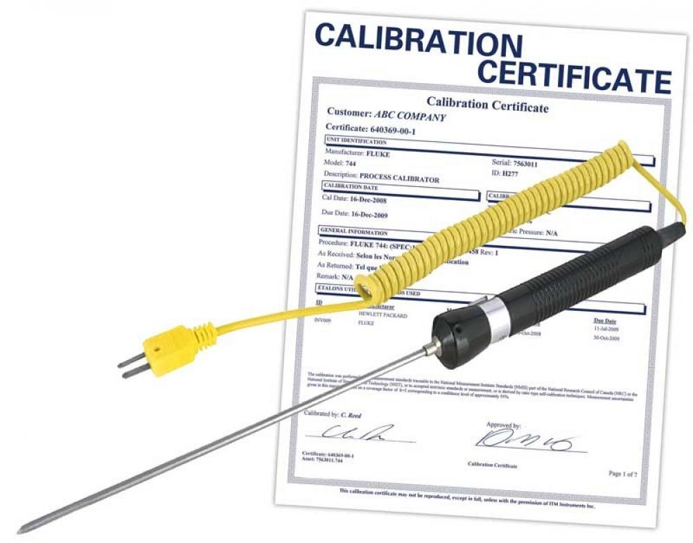REED R2960-NIST Needle Tip Thermocouple Probe, Type K, -58 to 1112F (-50 to 600C), includes NIS
