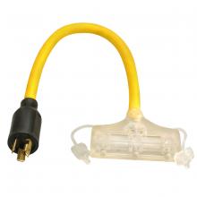 Southwire 90848802 - GENCORD- 12/3 STW 2' L5-20P/5-15R LE SW