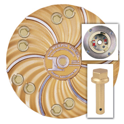 17" PLATE WITH CLUTCH AND GOLD DIAMOND PINS