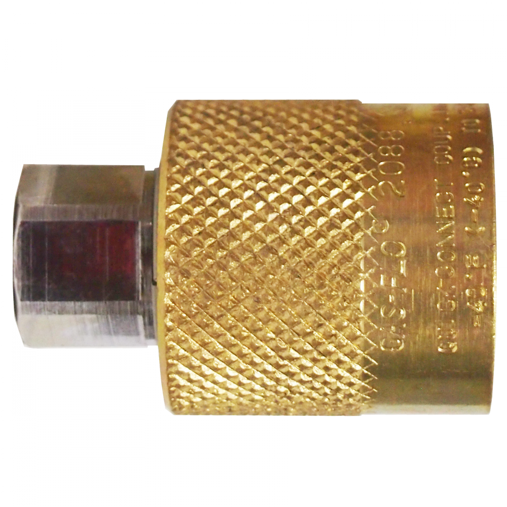 Check Valve