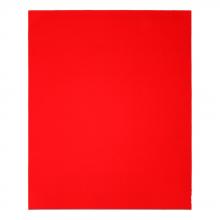 Diablo DCS911080S04G - 9 in. x 11 in. 80-Grit (Coarse) Sanding Sheet (4-Pack)