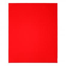 Diablo DCS911100S04G - 9 in. x 11 in. 100-Grit (Medium) Sanding Sheet (4-Pack)